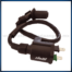 Bobina Encendido 12V P/Italika DS125