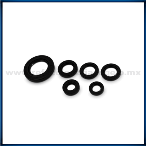 Juego de Retenes Carcazas Para moto Italika ATV 150